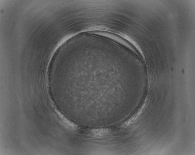 X0000070191037200605261152