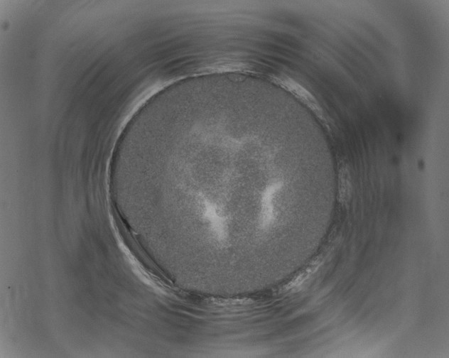 X0000070191039200605261152