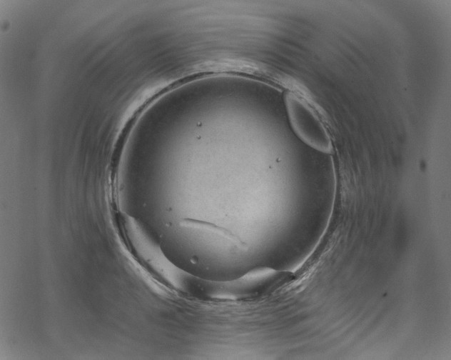 X0000070191040200605261152