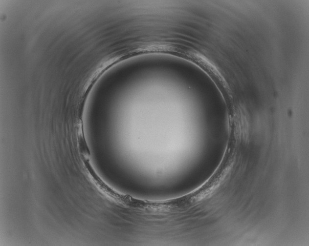 X0000070191041200605261152