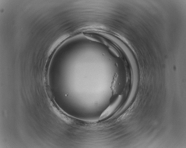 X0000070191042200605261152