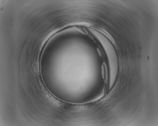 X0000070191044200605261152