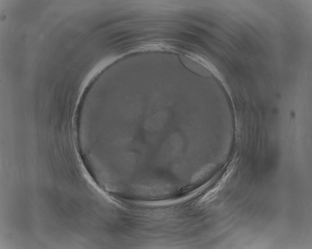 X0000070191045200605261152