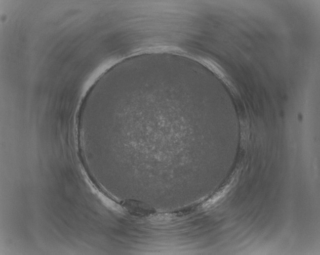 X0000070191046200605261152