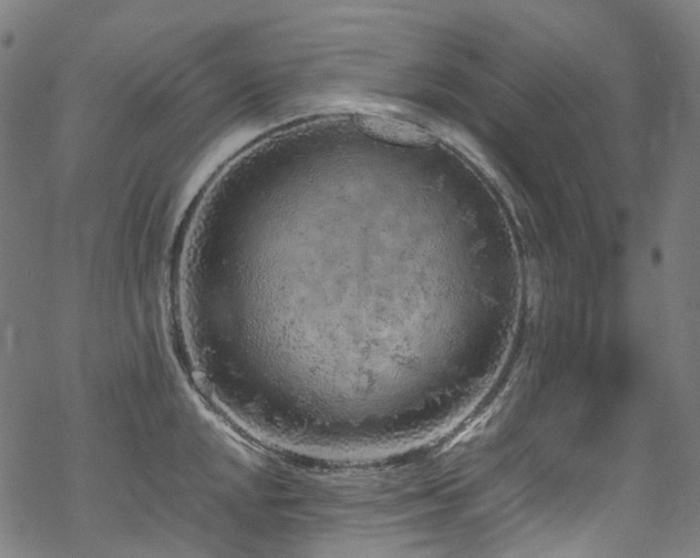 X0000070191048200605261153