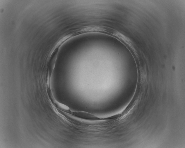 X0000070191049200605261153