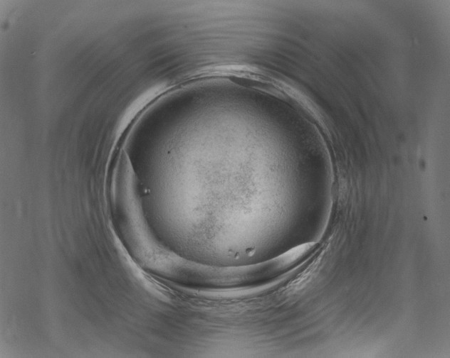 X0000070191050200605261153