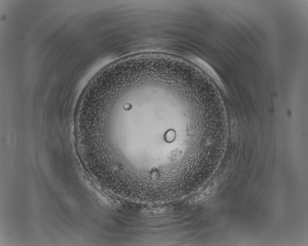 X0000070191051200605261153