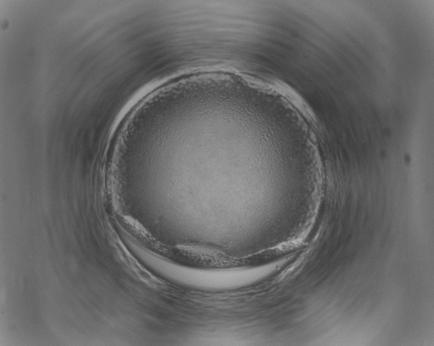 X0000070191052200605261153