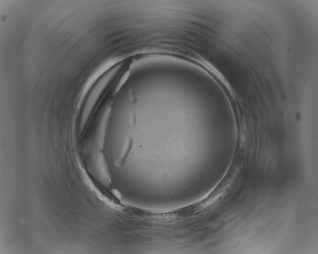 X0000070191053200605261153