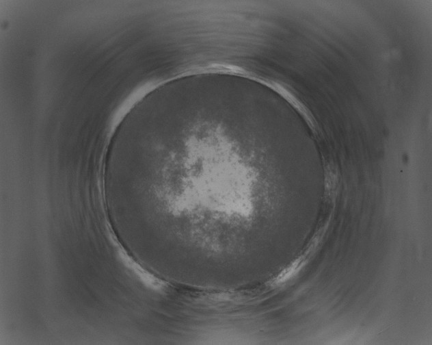 X0000070191054200605261153