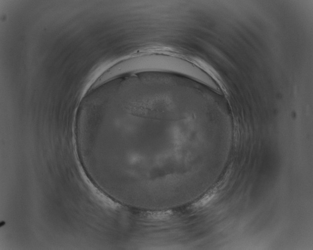 X0000070191055200605261153