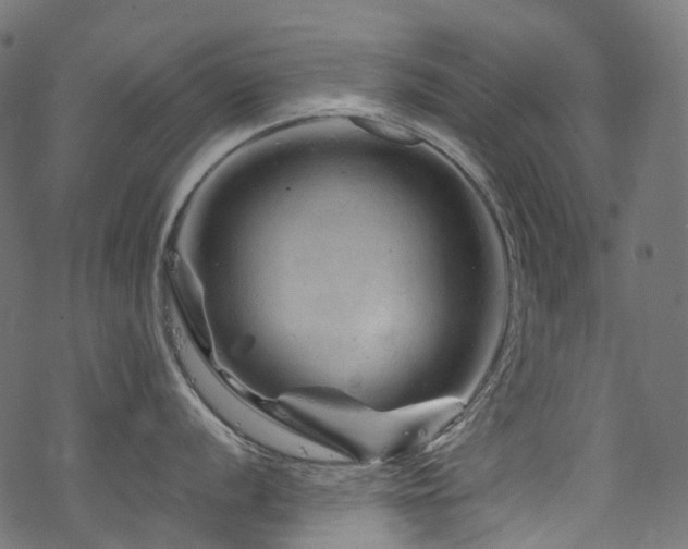 X0000070191056200605261153