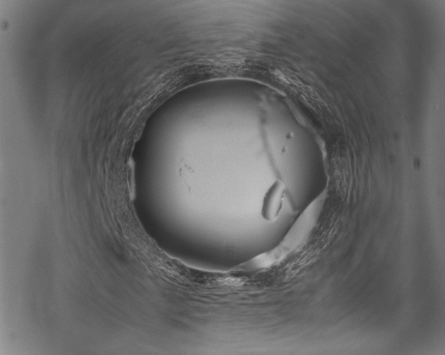 X0000070191057200605261152