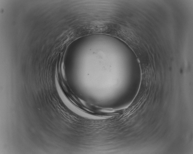 X0000070191058200605261152