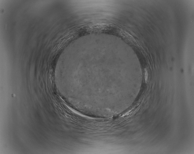 X0000070191059200605261152