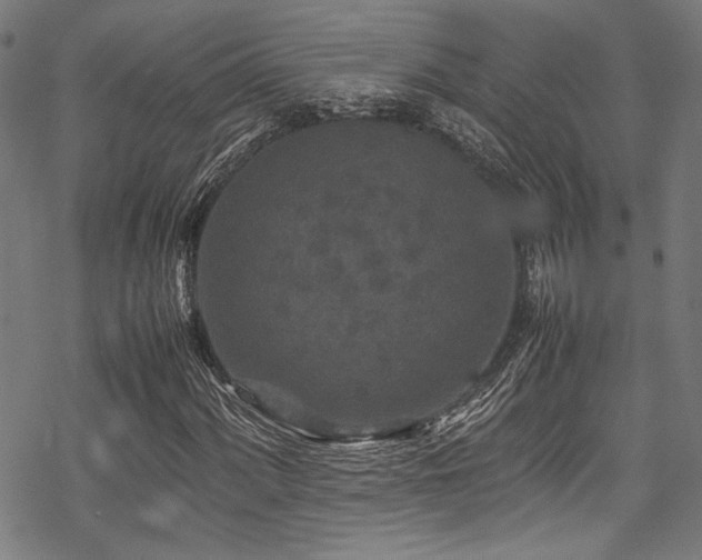 X0000070191060200605261152