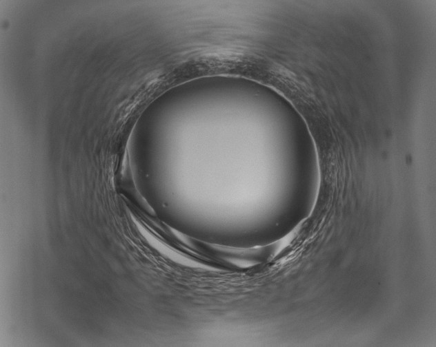 X0000070191061200605261152