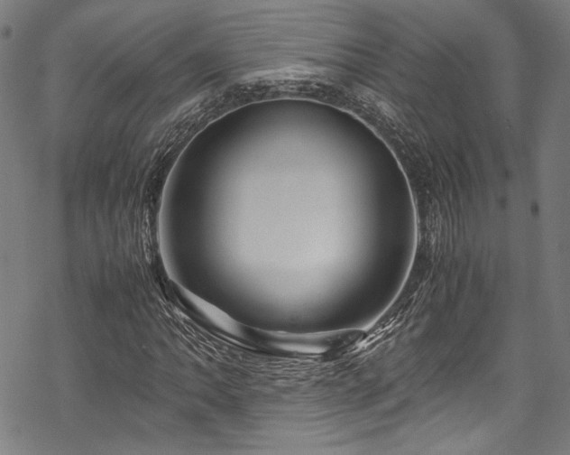 X0000070191062200605261152