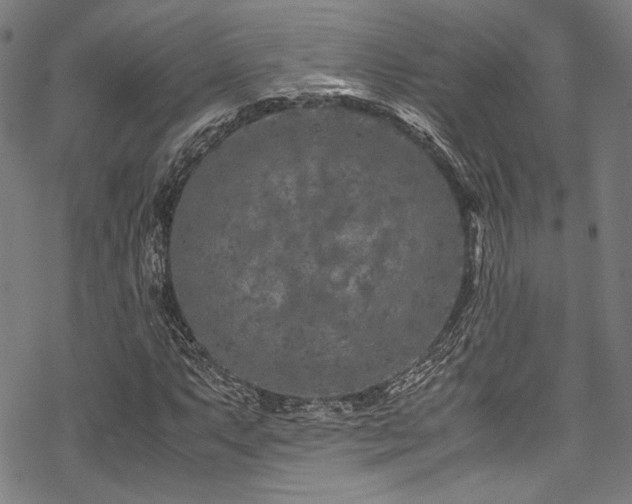 X0000070191063200605261152