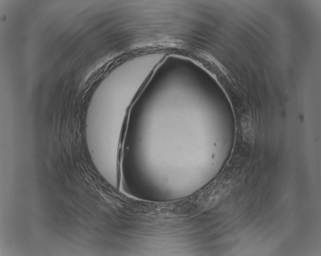 X0000070191064200605261152