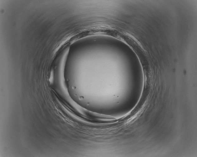 X0000070191065200605261152