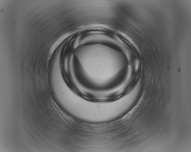 X0000070191066200605261152