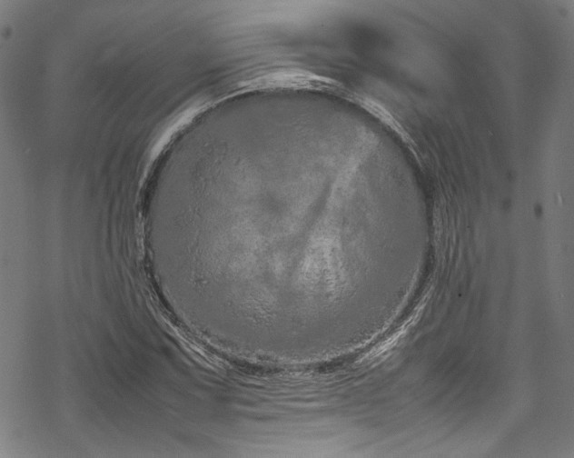 X0000070191067200605261152