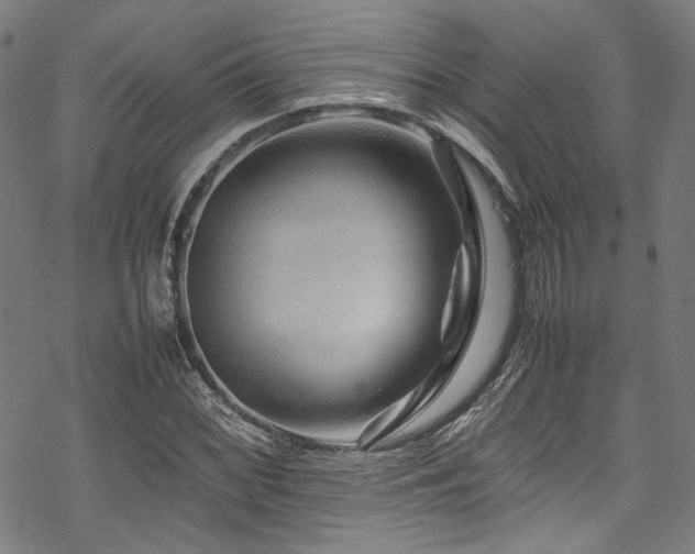 X0000070191068200605261152