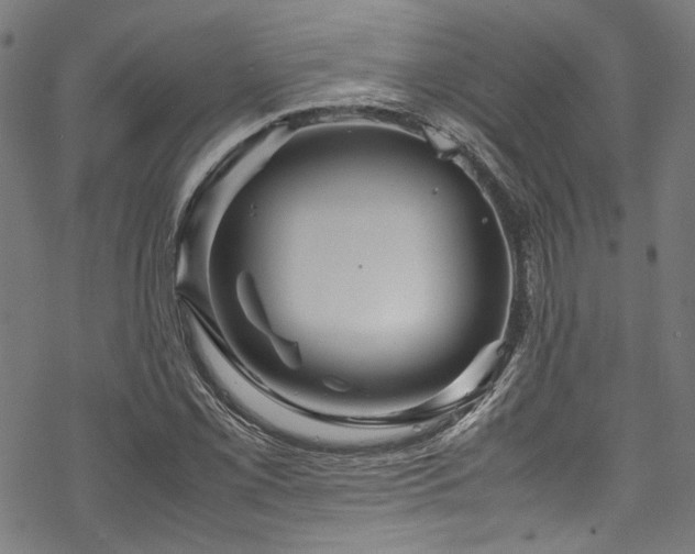 X0000070191069200605261152