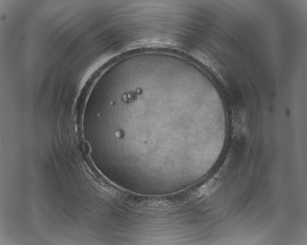 X0000070191070200605261152