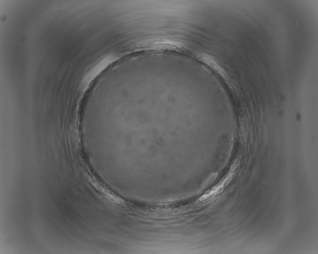 X0000070191071200605261152