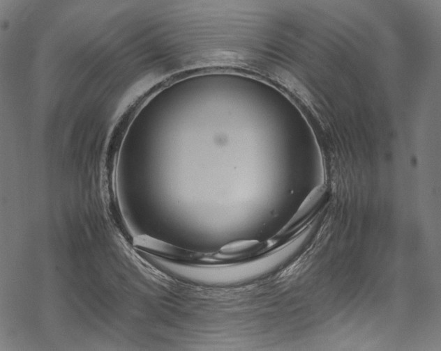 X0000070191072200605261152