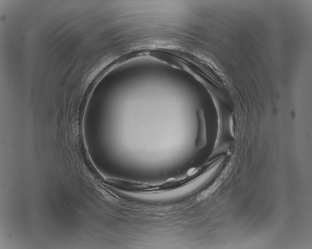 X0000070191073200605261152