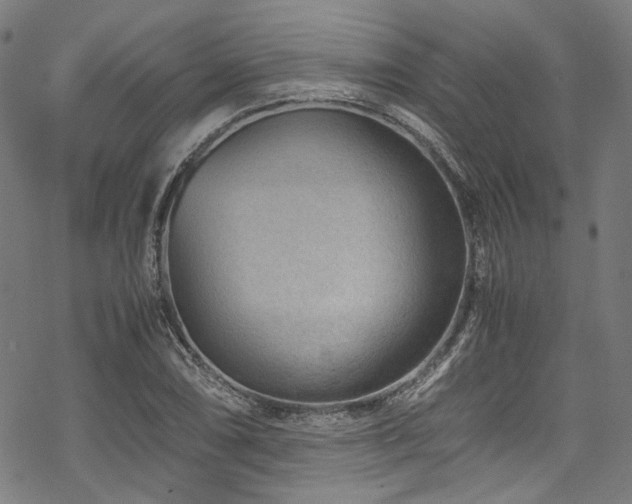 X0000070191074200605261152