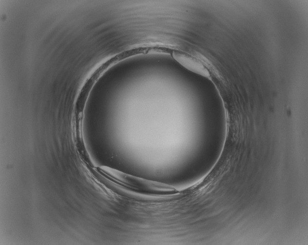 X0000070191076200605261152