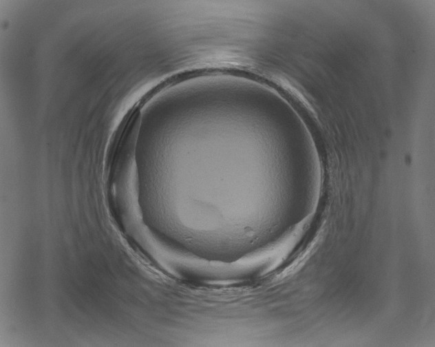 X0000070191077200605261152