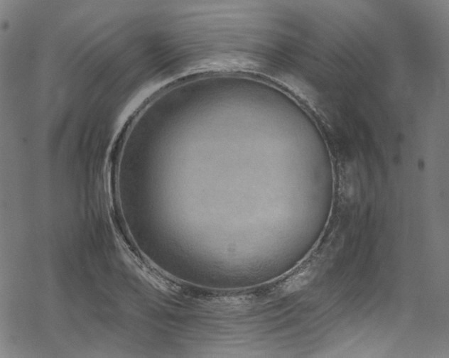 X0000070191078200605261152