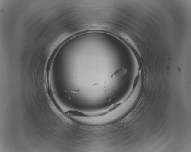 X0000070191080200605261152