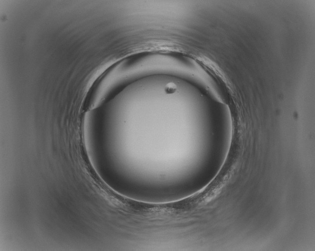 X0000070191081200605261151