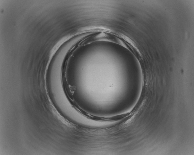 X0000070191082200605261151