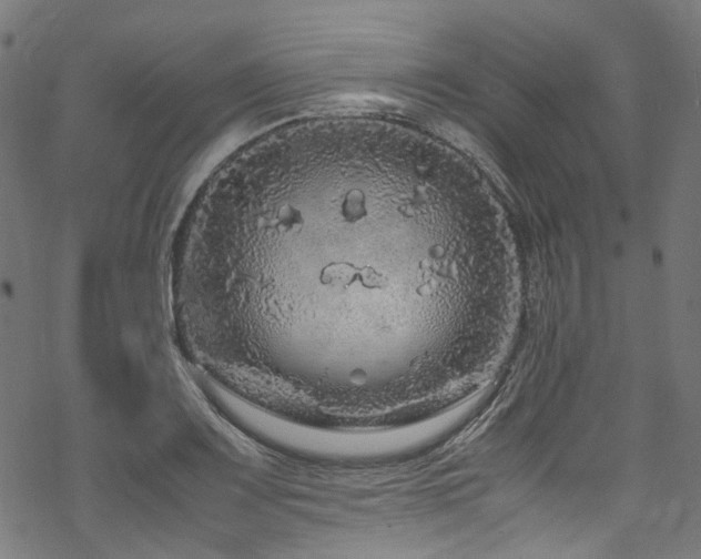 X0000070191083200605261151