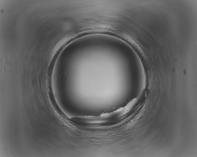 X0000070191085200605261151