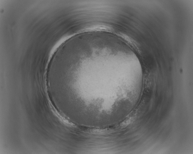 X0000070191086200605261151