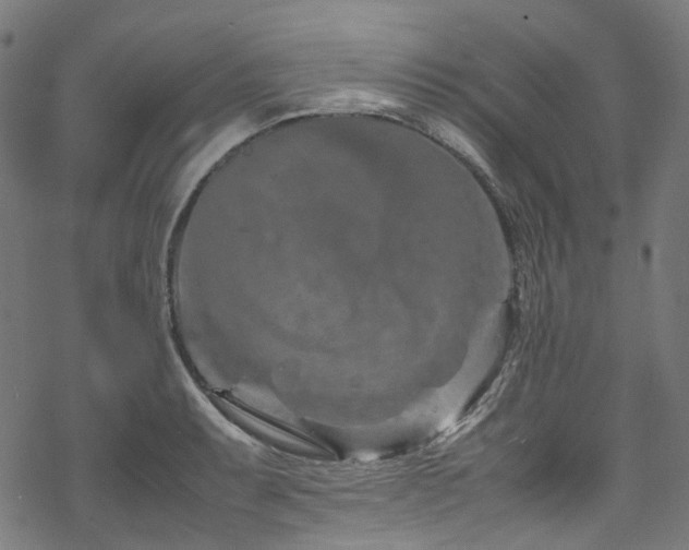 X0000070191087200605261151