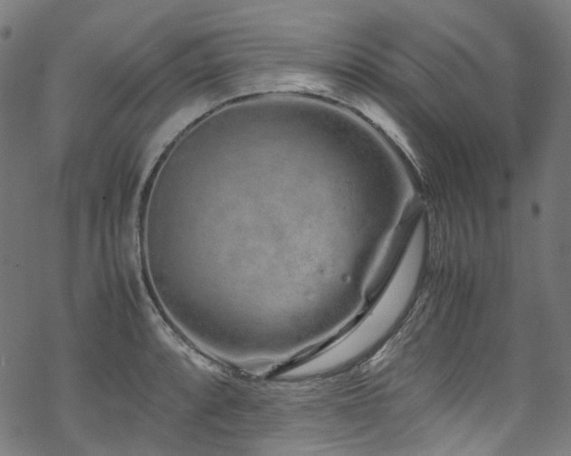 X0000070191088200605261151