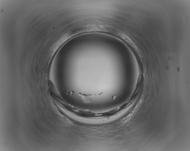 X0000070191089200605261151