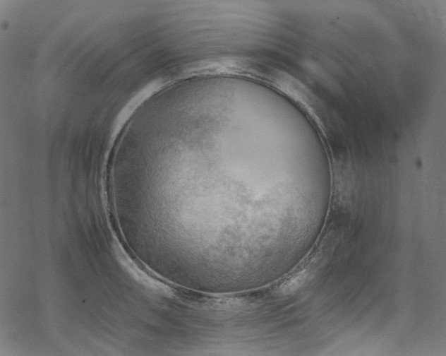 X0000070191090200605261151