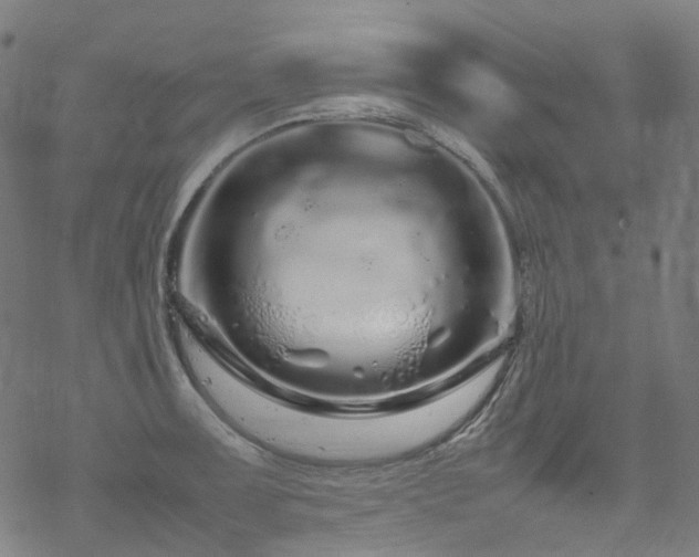 X0000070191091200605261151