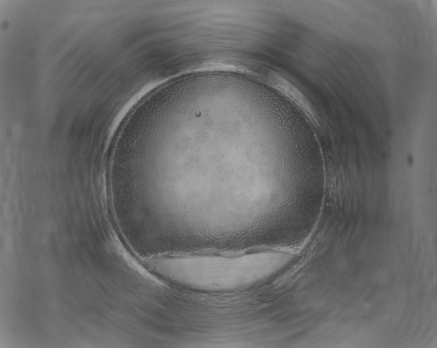 X0000070191092200605261151